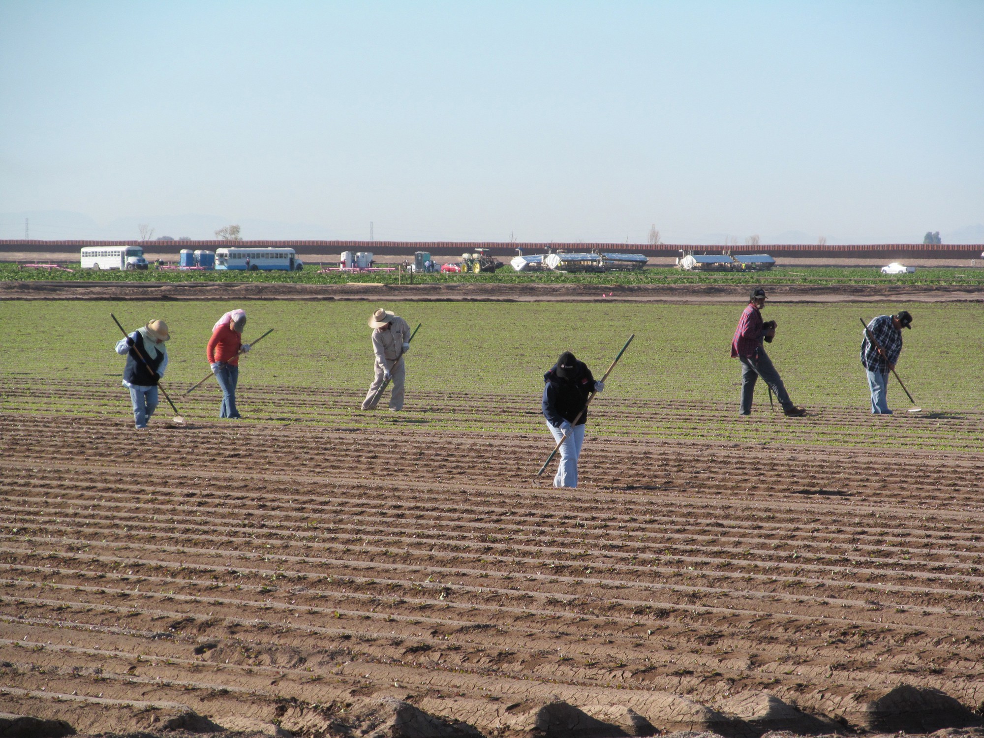 Farm owners, workers hope immigration reform can fix \u2018flawed\u2019 H-2A ...