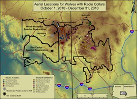 The Blue Range Wolf Recovery Area covers parts of eastern Arizona and western New Mexico. Click on the image to see where the collared wolves were located at the end of 2010.