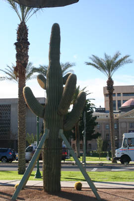 The centennial makeover of the State Capitol grounds transplanted a saguaro cactus to Wesley Bolin Memorial Plaza.