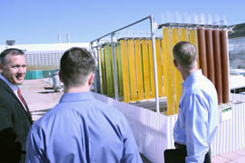 Visitors look at tubes of algae during the grand opening of an addition to Arizona Center for Algae Technology Innovation. Algae is typically green but this yellow algae represents stressed algae, which is producing more carbohydrates for research purposes. The facility is located at Arizona State University's Polytechnic Campus.