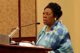 Rep. Sheila Jackson Lee, D-Texas, invoked the memory of slain Florida teen Trayvon Martin in her opposition to SB 1070, which she said could make police 