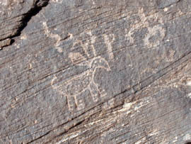 A ancient American Indian petroglyph at Homolovi State Park near Winslow.