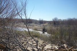 The Gila River, running beside Larry Barney's ranch, is prone to floods.