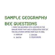 Bee questions