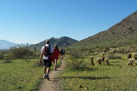 Municipal parks in Arizona, which are unlike many elsewhere in the nation, got middling scores at best from a national ranking of parks in the nation's largest cities.
