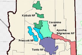 Five of the six national forests in Arizona have banned shooting except for hunting, while Apache-Sitgreaves has banned black-powder firearms.