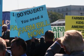 The Farm Bill Now coalition passed out signs and pins to hundreds of people who showed up for the rally. The green half-dollar size pins read 'Farm Bill Now!', which the crowd also chanted several times during the rally.