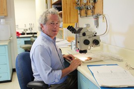 Dr. Stephen Jackson, Director of the U.S. Department of the Interior Southwest Climate Science Center reviews plant materials under a microscope