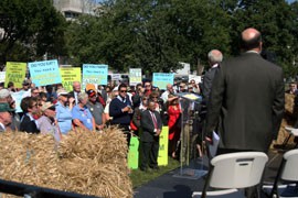 Hundreds gathered at the Capitol earlier this month to urge Congress to take action on the renewal of the farm bill.