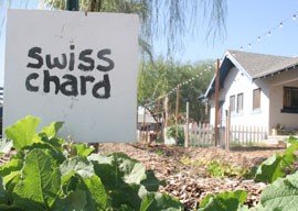 Roosevelt Growhouse, part of the nonprofit Roosevelt Row Community Development Corp., is a community garden in downtown Phoenix. Proponents say community gardens, which allow people to grow their own vegetables, promote healthy eating.