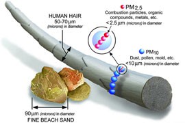 A government graphic shows the size of PM2.5 particles - those smaller that 2.5 microns in diameter- compared to dust, sand, a human hair and other items. The PM2.5 partciles are represented by the small red dots above.