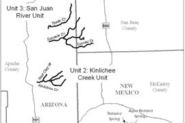 Federal officials want to designate nearly 300 miles of streams in eastern Arizona and western New Mexico as critical habitat for the Zuni bluehead sucker.