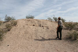 Karl Cordova, superintendent of Casa Grande Ruins National Monument, points to a mound on nearby state trust land that may have been used as a dwelling or for crop storage. The land is among the parcels advocates and local officials hope Congress will preserve by expanding the monument.