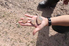 These pottery shards are among the artifacts on state trust land near Casa Grande Ruins National Monument.
