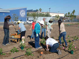 Participants in a community gardening class get down to work on a plot next to the Human Services Campus near downtown Phoenix.