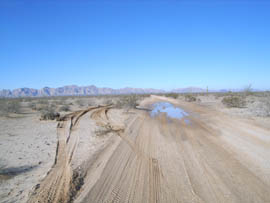 The Center for Biological Diversity said its representative witnessed a Border Patrol vehicle creating this track in the Cabeza Prieta National Wildlife Refuge to avoid mud on a dirt road.