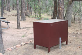 The U.S. Forest Service has installed bear-proof food containers at 27 campsites in the Payson area.