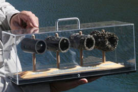 This exhibit by the Arizona Game and Fish Department illustrates how iquagga mussels can clog pipes.