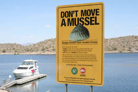 A sign at Lake Pleasant urges boaters to take precautions to avoid transporting destructive quagga mussels.