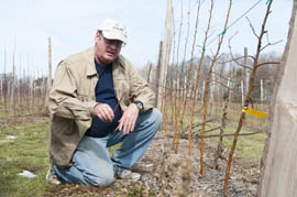 Farmer Jim Bittner inspects some of his apple trees at his orchard in Appleton, N.Y. Bittner's 400-acre farm has several lots that border Lake Ontario, with Canada on the other side of the lake.