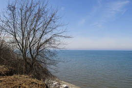 A few of Bittner's orchards directly border Lake Ontario, part of the northern border between the United States and Canada. On a clear day, the Toronto skyline can be seen in the distance across the lake.