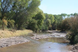 Environmentalists are concerned that the proposed route for a New Mexico-to-Arizona power transmission line could harm the San Pedro River, an important asset for migratory birds.