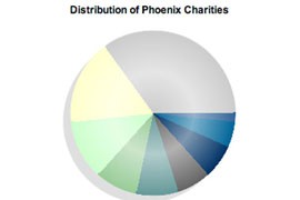 Phoenix charities and where their interests and targets lie, according to an analysis by Charity Navigator.