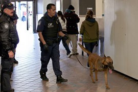 The court said it was not an invasive search for a drug-sniffing dog, at the direction of its handler, to put its paws on a truck and its nose against a toolbox where drugs were later found.