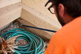 Jeffrey Hill, field agent for Rattlesnake Solutions, captures a baby rattlesnake at a home in Ahwatukee.
