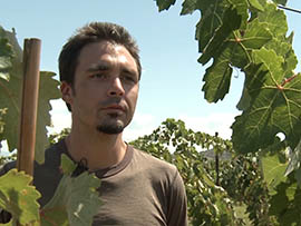 Joey Estrada's interest in a career making wine drew him from Phoenix to Cottonwood, where he enrolled in Yavapai College's viticulture and enology program.