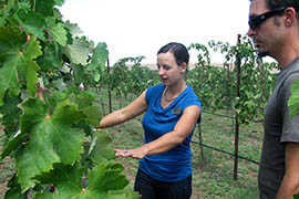 Nikki Check, Yavapai College's director of viticulture, with student Joey Estrada, shows grapevines growing on an acre of borrowed land next to campus.
