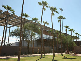 Solar panels provide shade at Farrington Stadium, home of ASU's softball team, as well as generating enough electricity for the university to declare the facility climate-neutral.