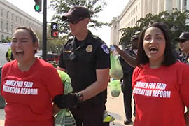 Protesters being arrested last month during a demonstration at the U.S. Capitol in support of comprehensive immigration reform. The rally was one of a series in recent weeks aimed at keeping pressure on lawmakers to pass reform.