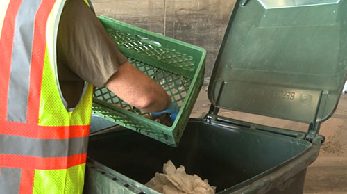 Students at Arizona State University's School of Sustainability are working with SRP and the city of Phoenix to help residents understand how to recycle.  Cronkite News reporter <b>Joe Bisaccia</b> has the story.