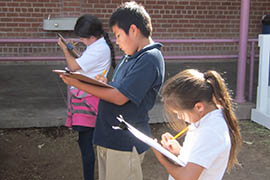 Students at Manzo Elementary School record temperatures and contents of eight compost bins as part of math lessons.