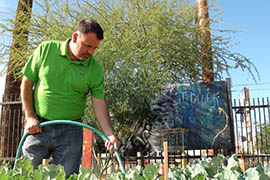 Sean Collins tends one of 35 individual gardening plots at the PHX Renews project in central Phoenix.