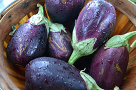 Eggplant harvested from one of the Tiger Mountain Foundation's community gardens in south Phoenix.