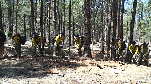Today on Cronkite NewsWatch, winter is rolling in and firefighters are prepping for the next fire season. Find out what is being done in Northern Arizona.  Plus, our team digs deep into downtown Phoenix's history, there may be more than what meets the eye.   And, how one Valley high school is blurring the lines between general studies students and special needs kids.