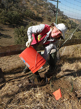 Janet Franklin, an Arizona State University geography professor, conducts research at a site in California.