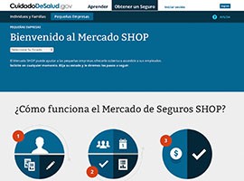 The online healthcare.gov marketplace is available in English and Spanish - just one of the challenges for advocates dealing with potential enrollees who speak Chinese, Allbanian, Navajo or any of a number of other languages spoken in the state.