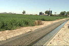 An irrigation ditch carries water at A Tumbling-T Ranches in Goodyear.