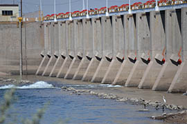 Gates at Morelos Dam in Yuma opened in March to begin sending what's known as a pulse flow down the Colorado River's channel to help restore the delta where the river enters the Gulf of California.
