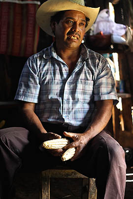 Moises de la Cruz shows ears of corn grown on his 7-acre plot of mountainous land 120 miles north of the Mexico-Guatemala border. De la Cruz's family has been farming the land for generations, but in recent years costly requirements related to the North American Free Trade Agreement have made farming much more difficult.