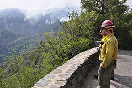 Mormon Lake Hotshots monitor the progress of the Slide Fire in the Coconino National Forest. The community of Mountainaire could be threatened by the still-growing blaze