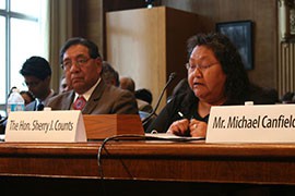 Hualapai Chairwoman Sherry Counts told a Senate committee that the northwestern Arizona tribe supports a bill that would formalize two water-rights agreements between it, Freeport Minerals Corp. and the government.