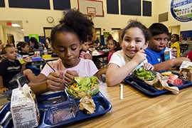 Manassas, Va., grade school students eat lunches that meet federal nutrition standards in this 2012 photo. The U.S. Department of Agriculture is expanding its free school lunch and breakfast program, but not all eligible Arizona schools plan to enroll.