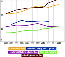 After years of rising steadily, the adult obesity rate in Arizona started to level off in 2013, but rates for children and minority groups remained stubbornly high, according to a new report.