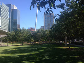 Tree coverage and grass in Civic Space Park provide cooler green space near the heart of downtown Phoenix.