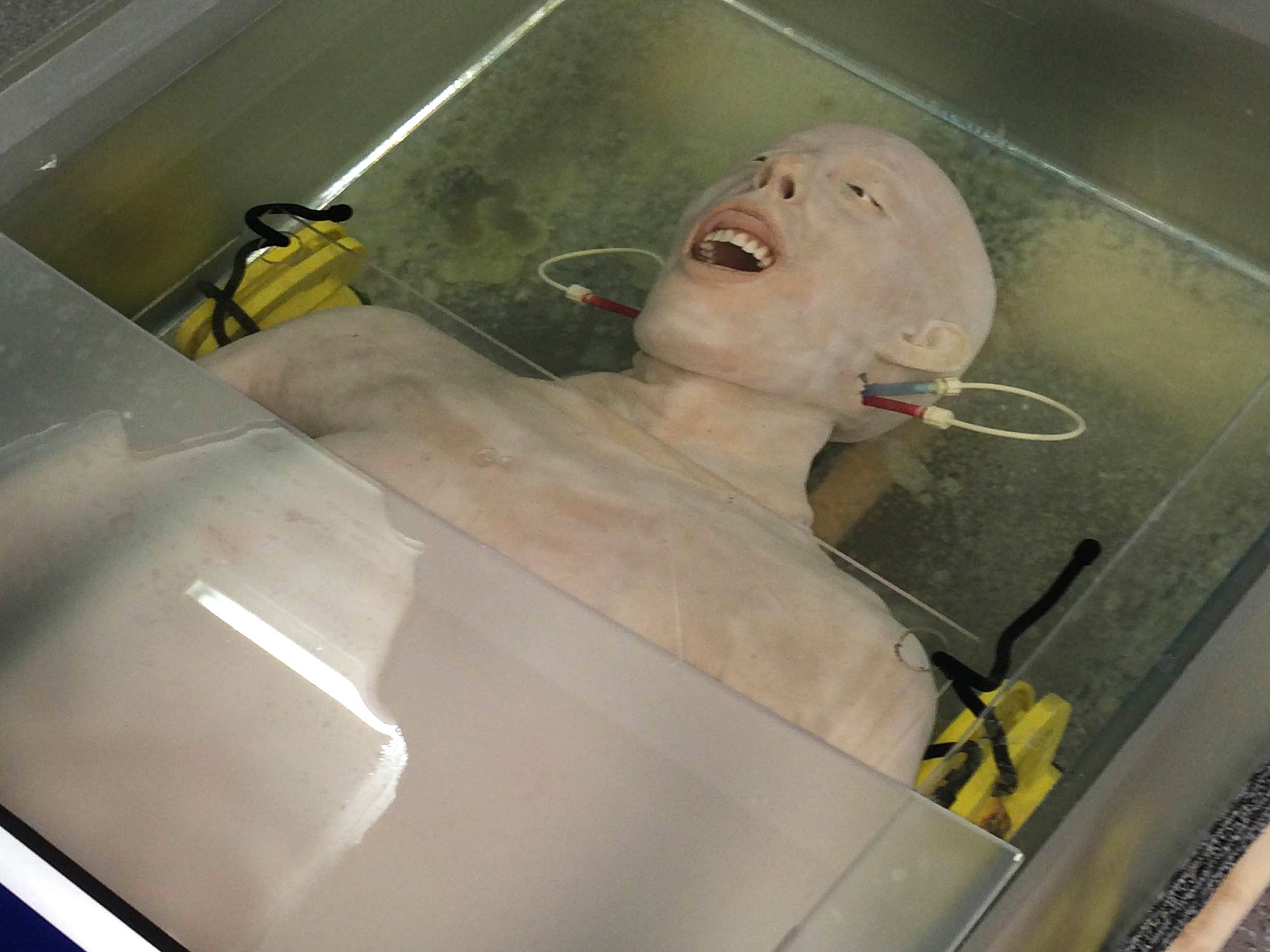 UA’s medical school expands simulation center for hands-on learning ...