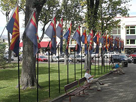 Arizona flags line a park in downtown Prescott.